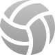 Volleyball icon