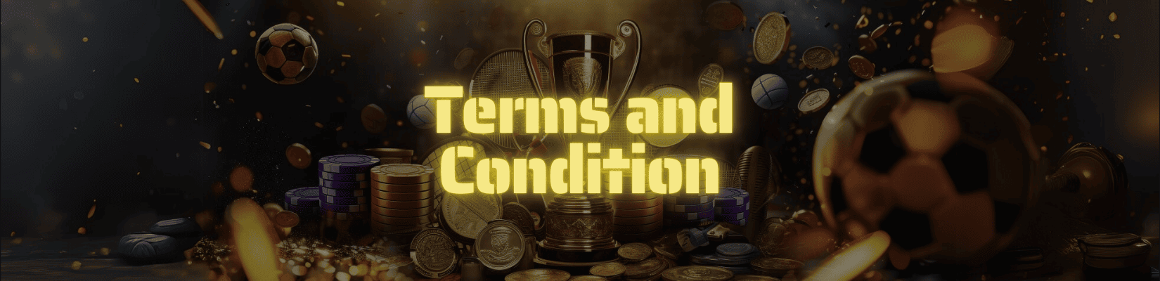 Terms and Conditions Banner